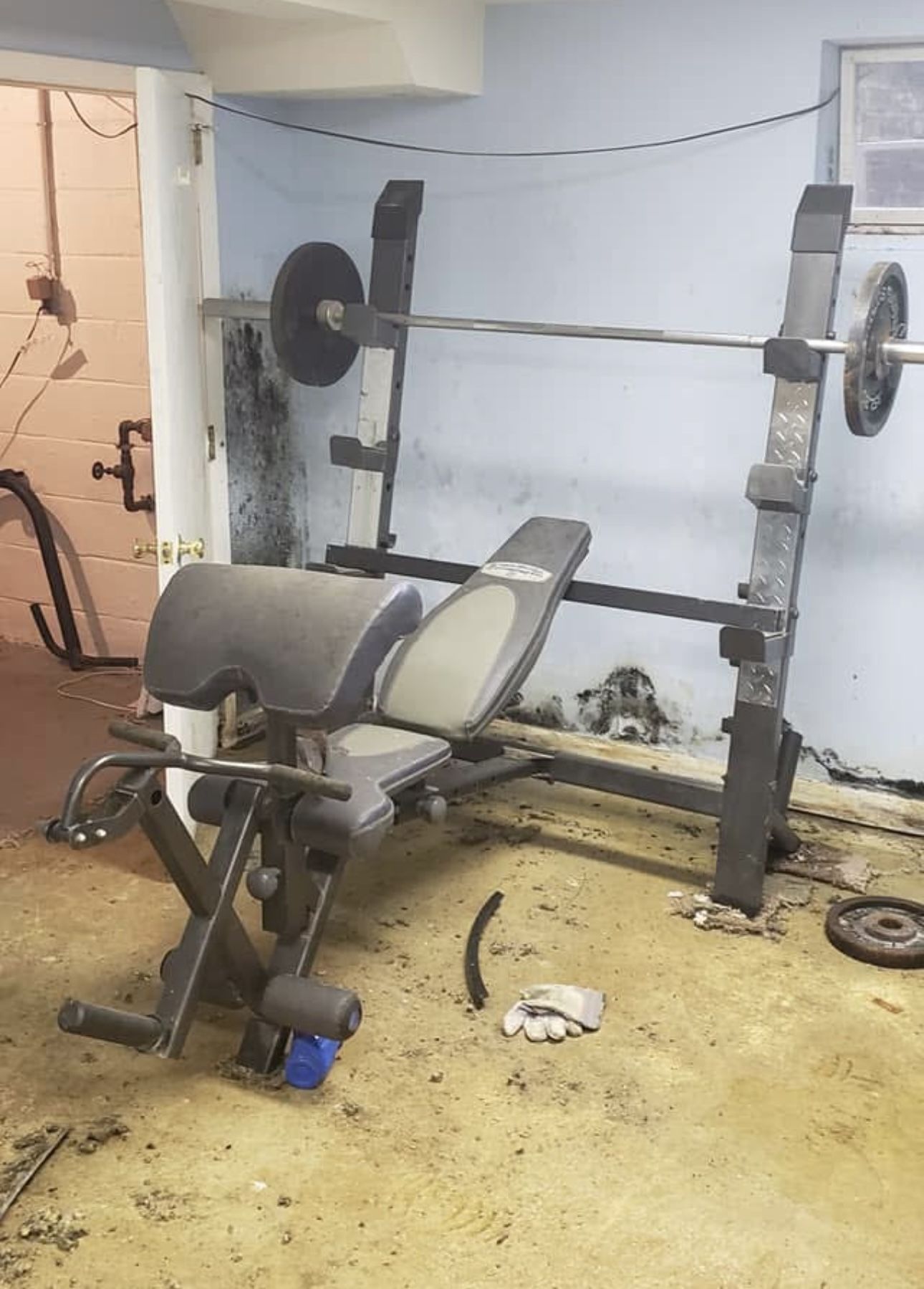 Full sized Olympic Weight bench