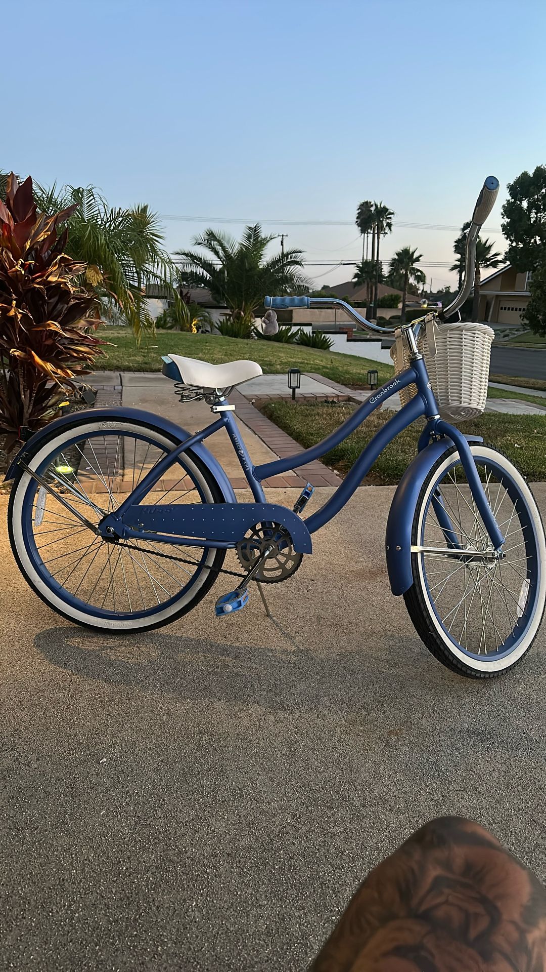 Beach Cruiser Bicycle