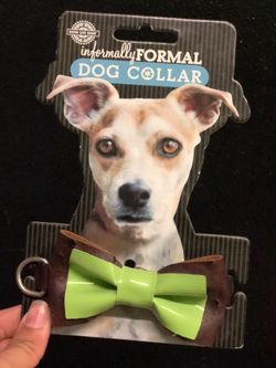 Dog Collar