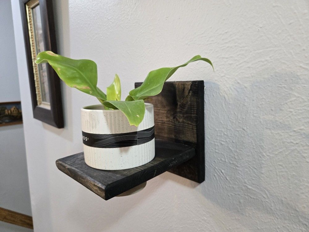 Unique Hand Made Shelf With Plant - $35 Each