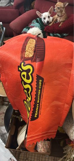 Reese's Peanut Butter Cups Giant Costume