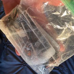 2 iPhone SE No Longer Work . Shoot An Offer . Definitely Can Work If You Know Somebody Who Can Fix It