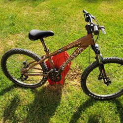 Kona Dj 24 Inch Wheel Dirt Jumper Mountain Bike