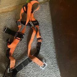 Safety Harness