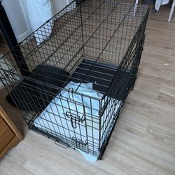 Dog Cage