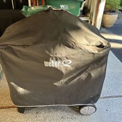 Weber Natural Gas BBQ