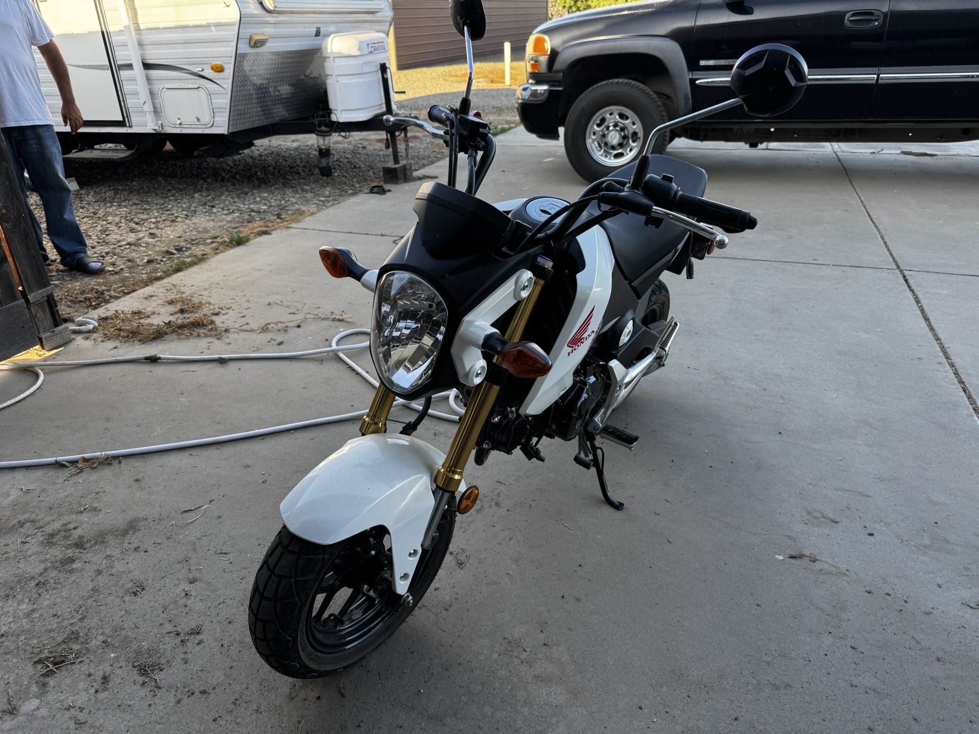 2015 Honda Grom