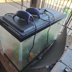 Fish Tank With Pump And Stand 