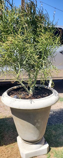 Firestick with planter--$80 each one