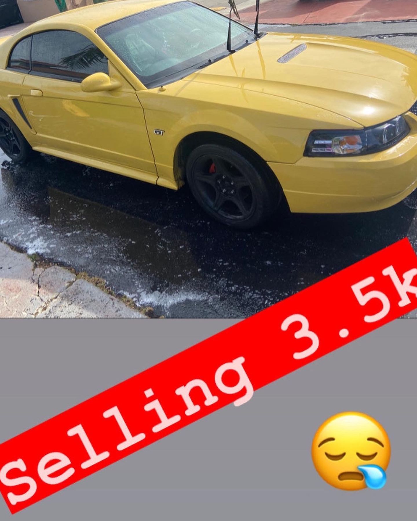 2000 Ford Mustang