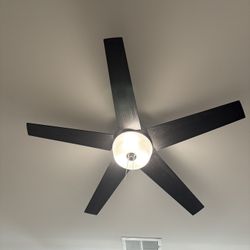 Ceiling Fan w/Lights