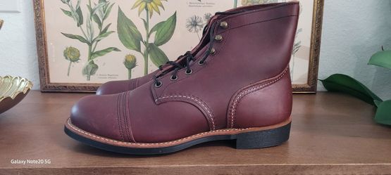 Redwing