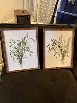 Set Of 2 Wall Art - Plants Thumbnail