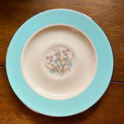 Vintage China Tea Set For 8; Taylor Smith Taylor; Mid Century 1950s; Classic Bittersweet 