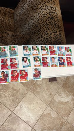 Panini World Cup stickers