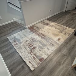 5x7 Area Rug