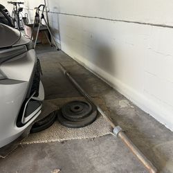 Barbell With Weights