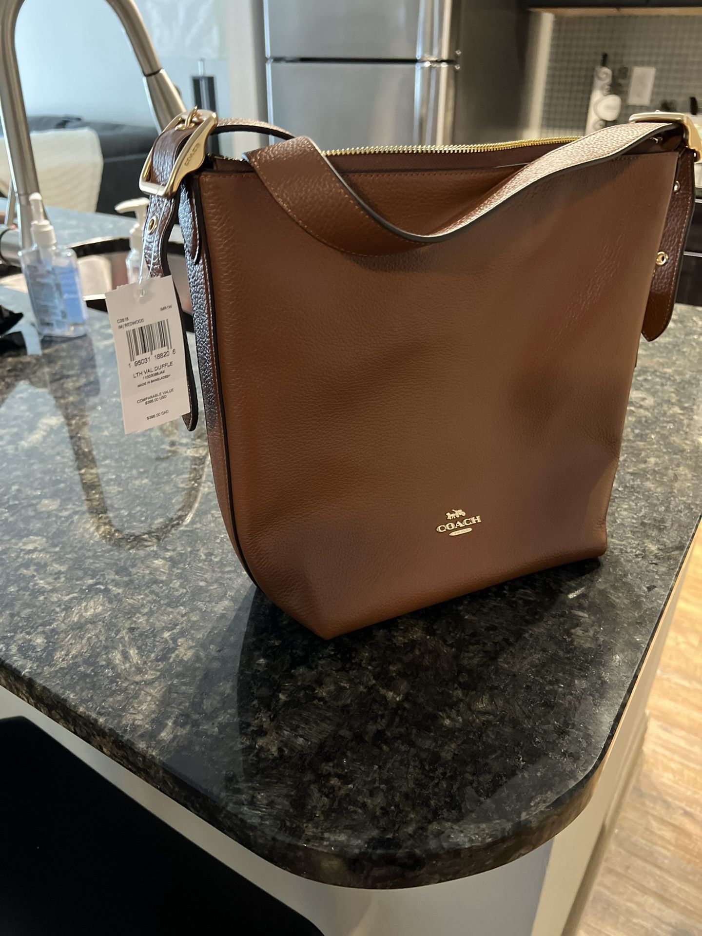 Coach Hobo Purse 