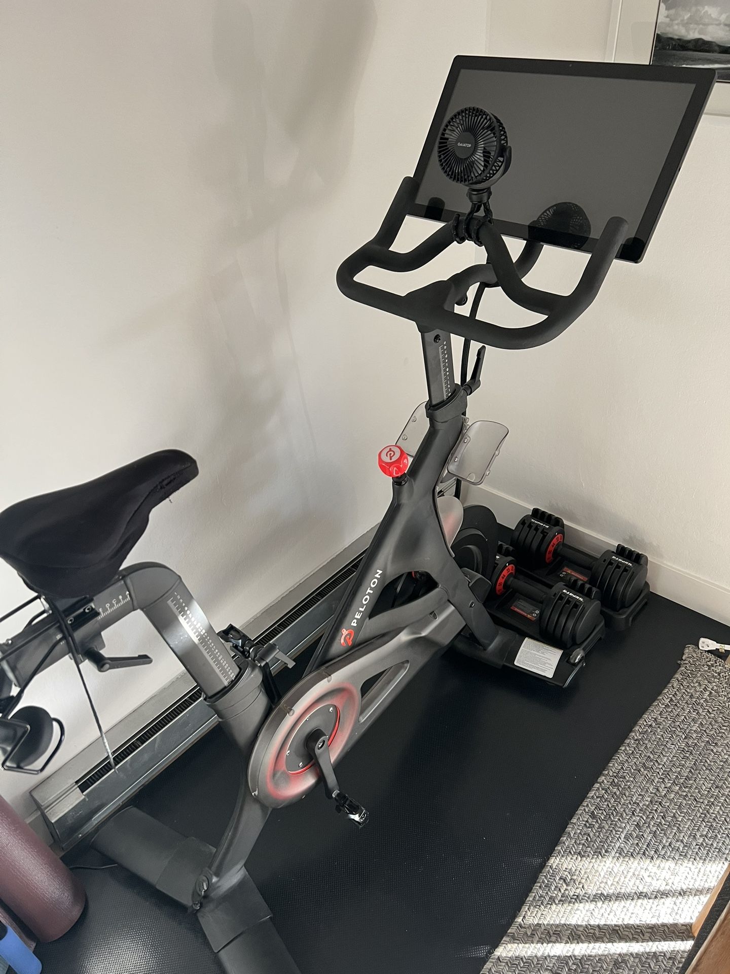 Peloton Bike (Original)