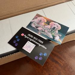 Business Cards