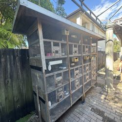 Bird Cage 12 Departments