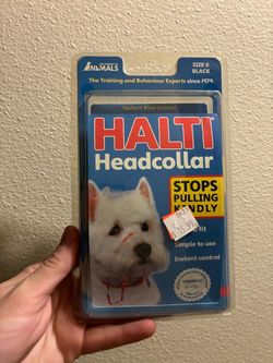 HALTI Headcollar Size 0 – Like New / Tried On Only