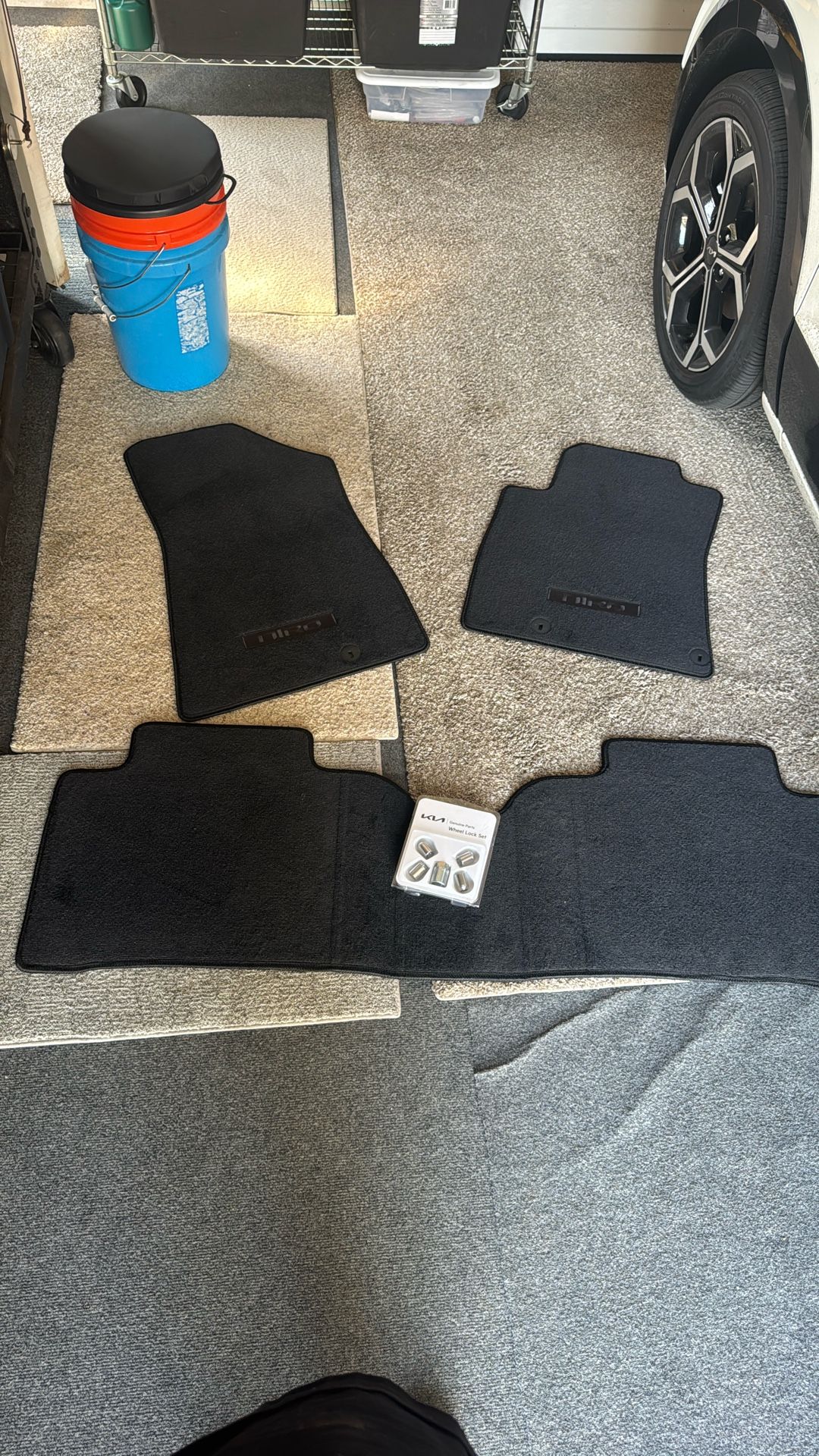 Brand New Kia Niro floor mats