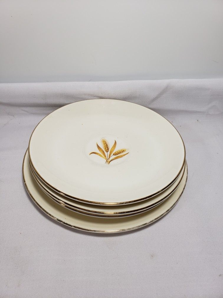 Homer Mclaughlin Golden wheat salad plate & saucers 4 pc ( 1 salad plate 7" and 3 saucers 6 1/4" ) 