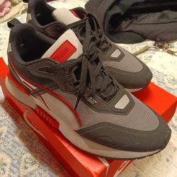 Pumas