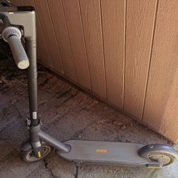 Ninebot Electric Stand-Up Kick Scooter
