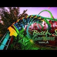 🎟️🌴 BUSH GARDENS 🎢🌴 TAMPA FL.  X13 Single Day