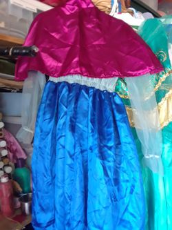 Princess Anna Costume Thumbnail