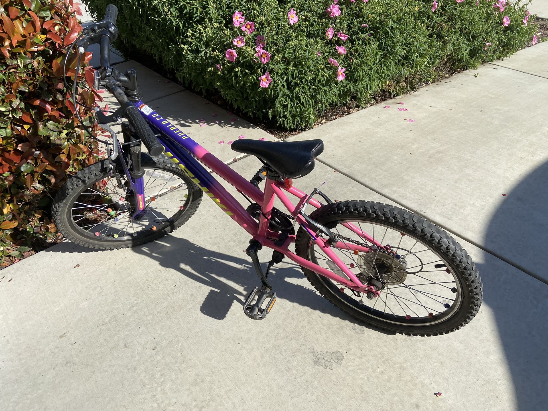 Nishiki 20 Inch Bike