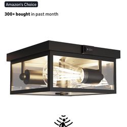 2-Pack Outdoor Ceiling Light with Motion Sensor 