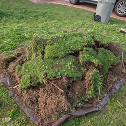 Free Soil - Fill soil 