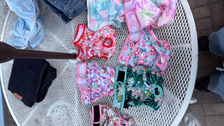 Female dog diapers