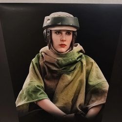 Hot Toys 🔥 Princess Leia 