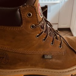 Irish Setters Size 10 