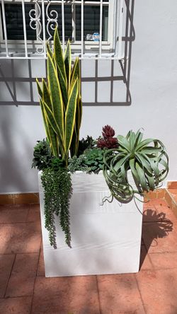Planter arrangements succulent artificial snake Sansevieria plants big