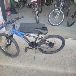Free Boys Mountain bike 