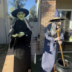 6 foot Animated LED Halloween Witch with Raven.  Moves and Speaks. Comes with original box