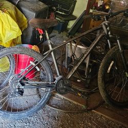 Specialized Mountain Bike