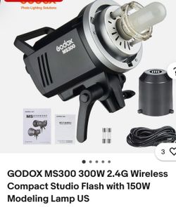 MS300  Godox $60