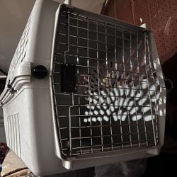 Pet Carrier