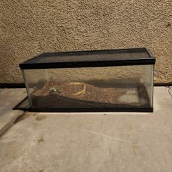 20 Gallon Reptile Tank 
