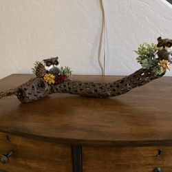 Decorative, Custom Handmade Cholla Cactus Skeleton Home Decor and Collectable or a Great Christmas Gift