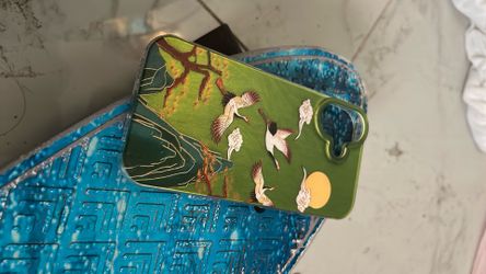 iPhone case