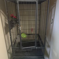 Black Bird Cage