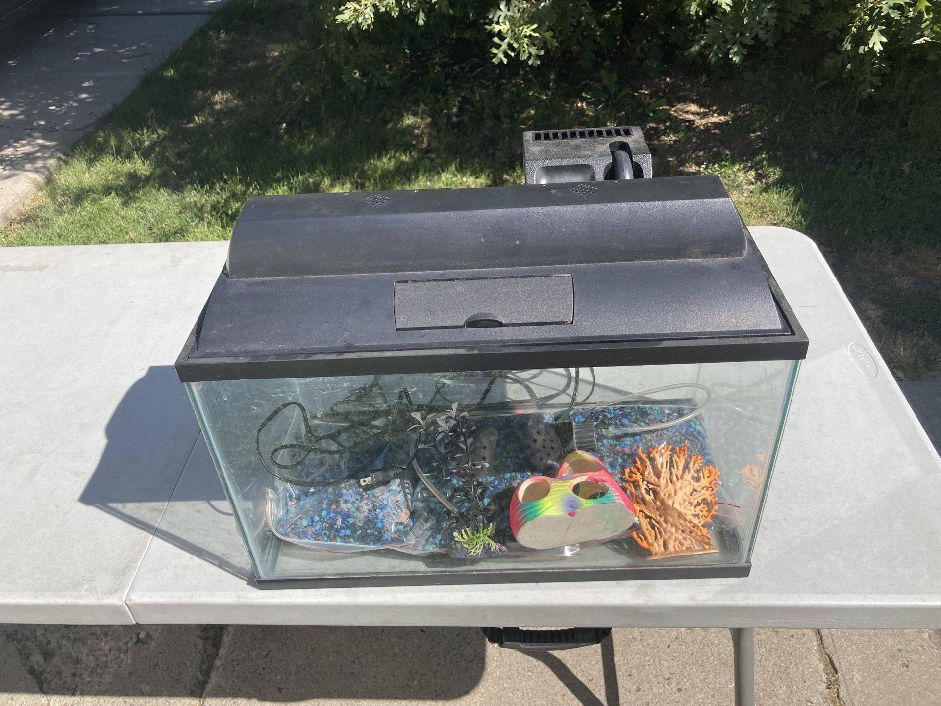 10 gallon fish tank with accessories