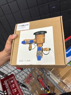 Pressure vacuum breaker